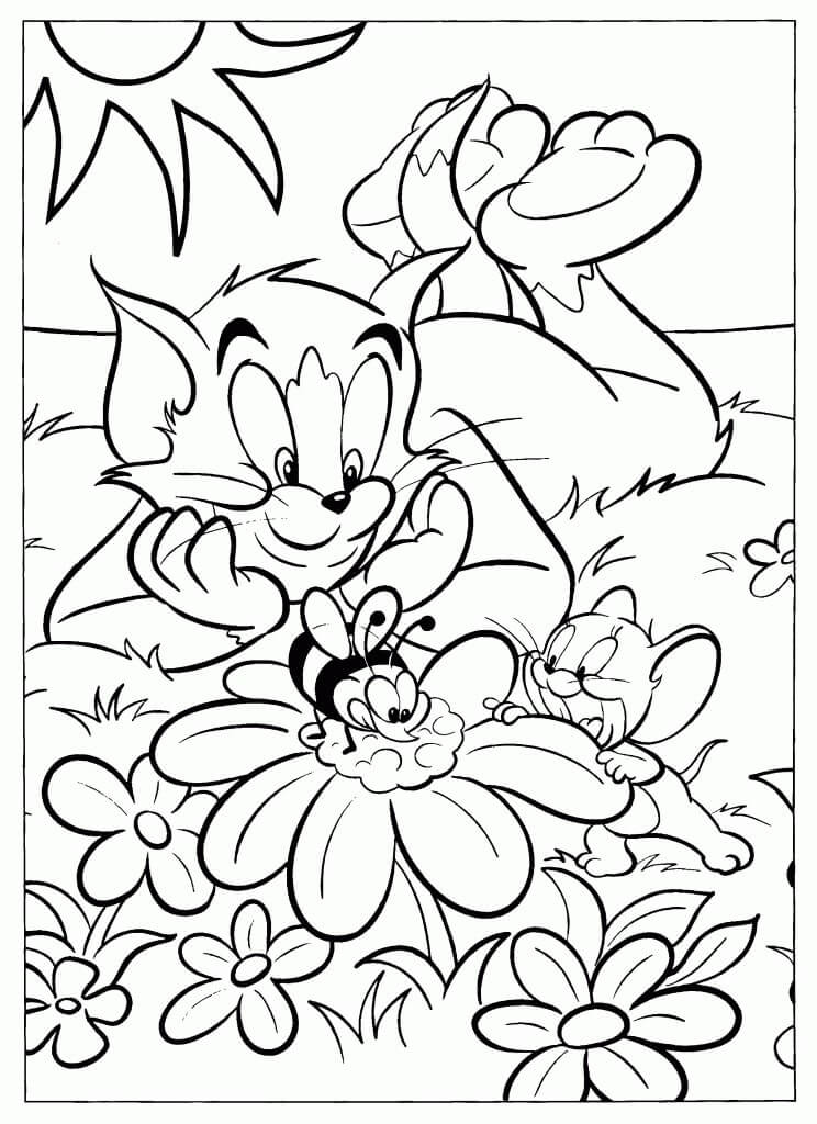 Tom e Jerry em um Jardim de Aventuras