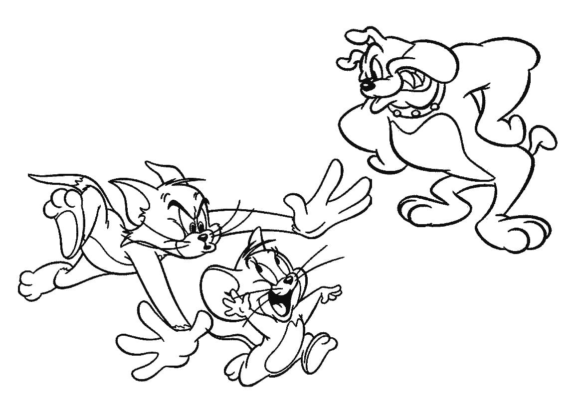 Tom, Jerry e Spike em Aventura Divertida