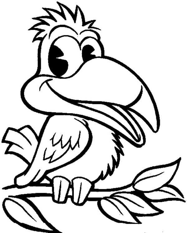 Tucano cartoon sorridente para colorir