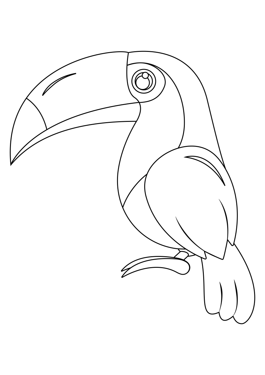 Tucano de contorno simples para os pequenos para colorir