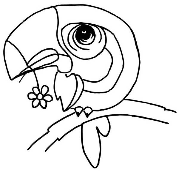 Tucano fofo segurando uma flor para colorir