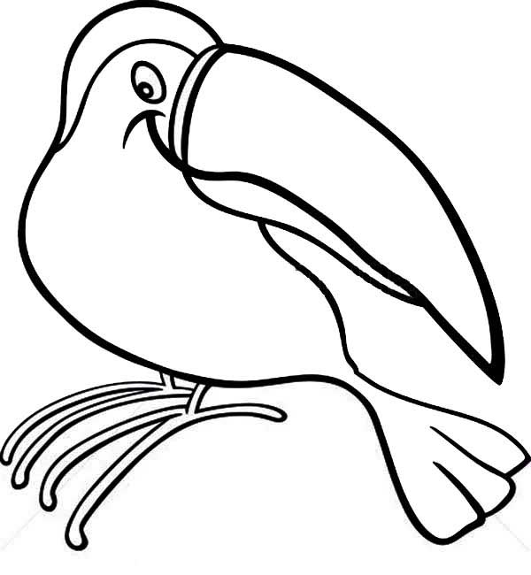 Tucano simples para pintar