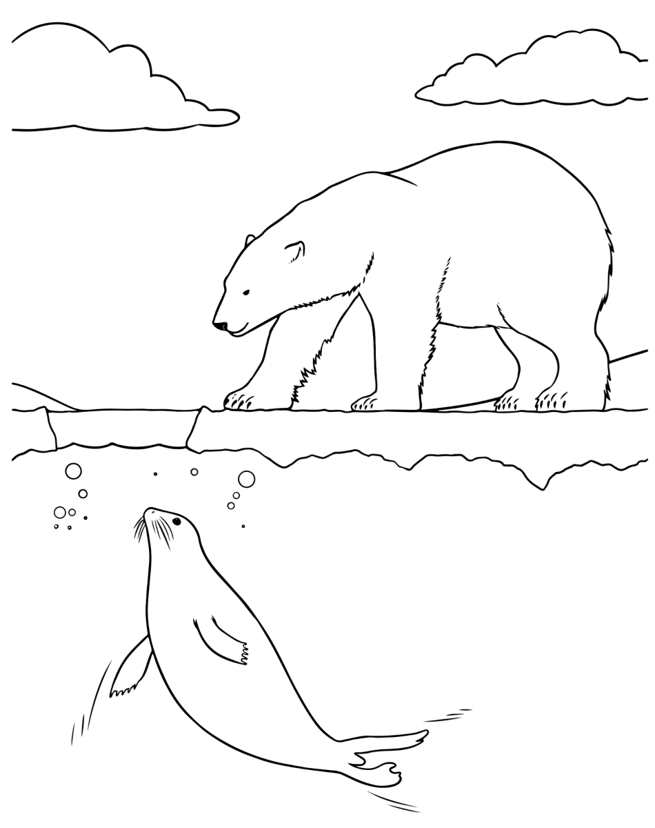 Urso polar e a foca no bloco de gelo para colorir