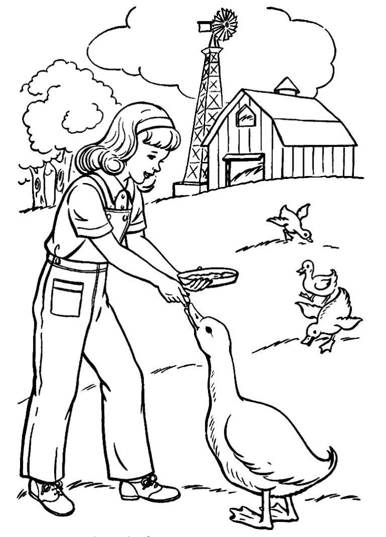 Vida na Fazendinha: A Menina e os Patos