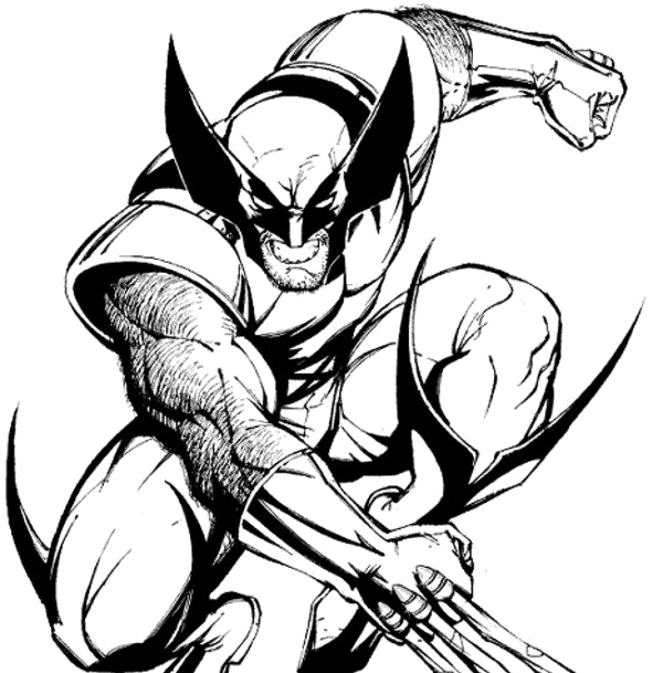 Wolverine agachado prestes a atacar para colorir