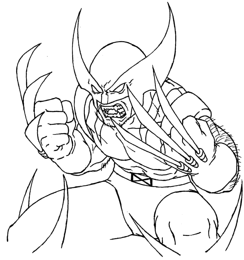 Wolverine em close mostrando as garras para colorir