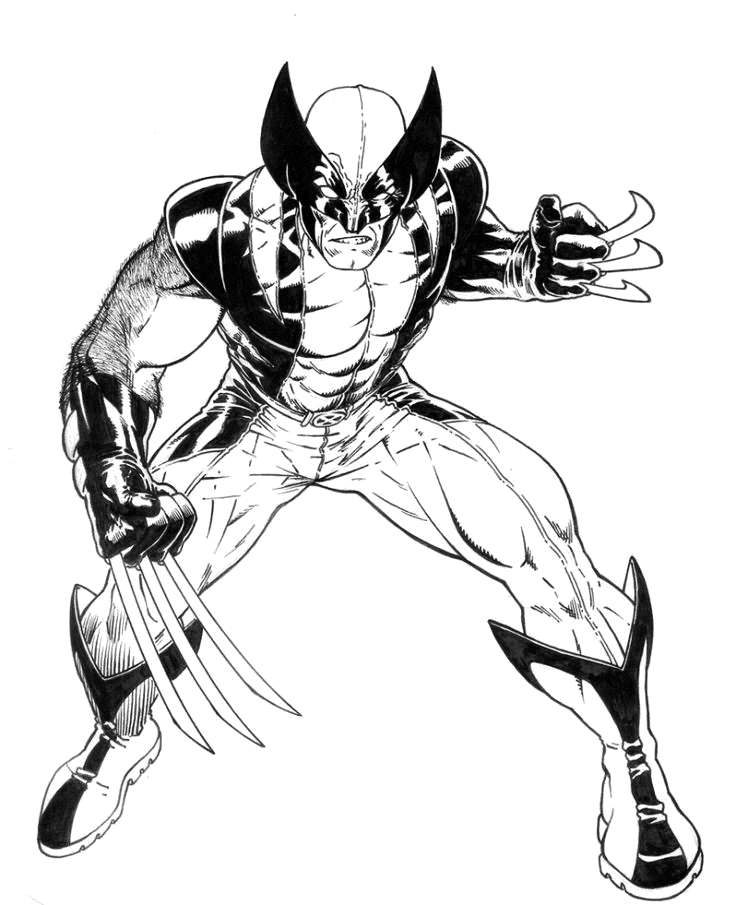 Wolverine rugindo com as garras levantadas para colorir