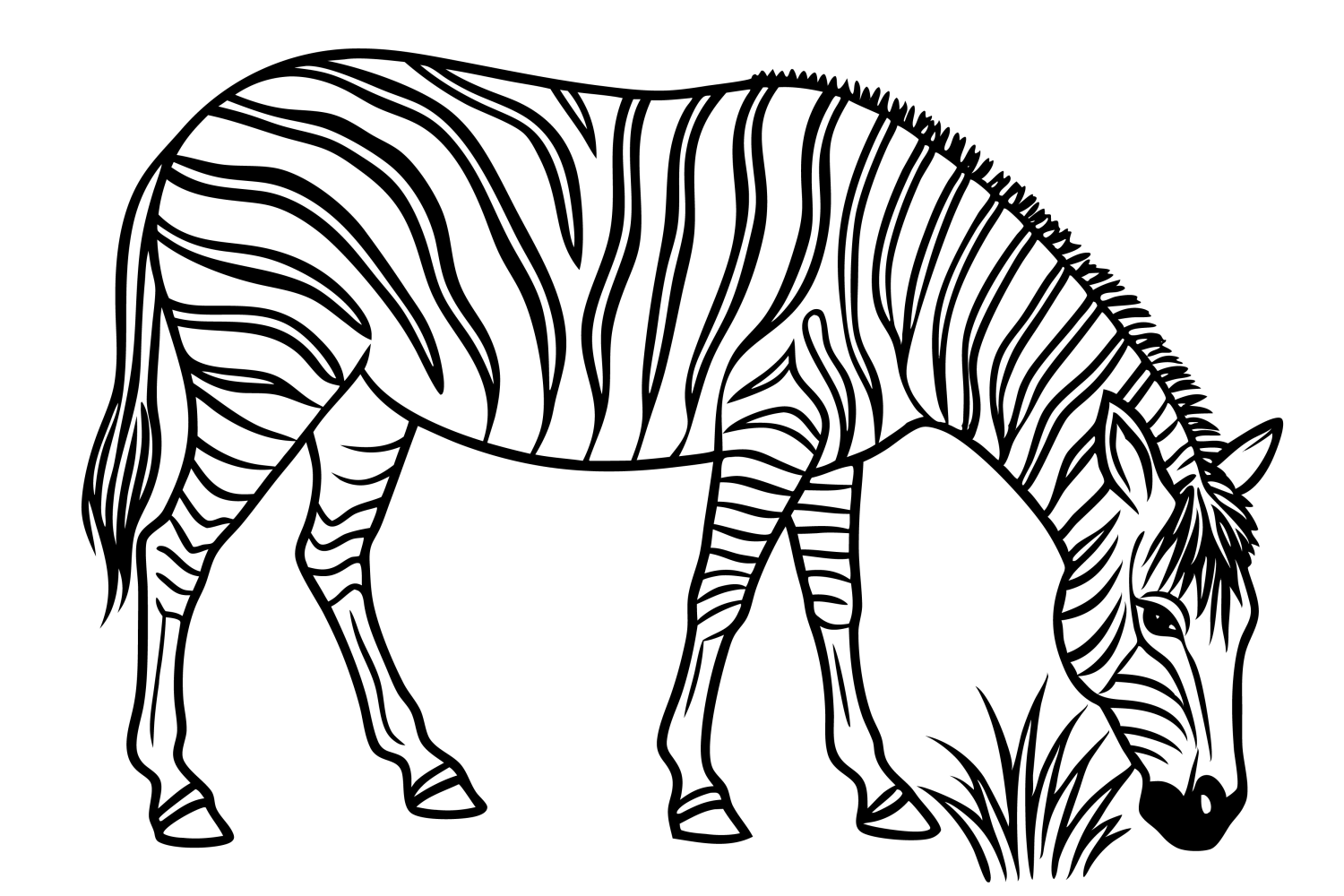 Zebra Encantada para Colorir
