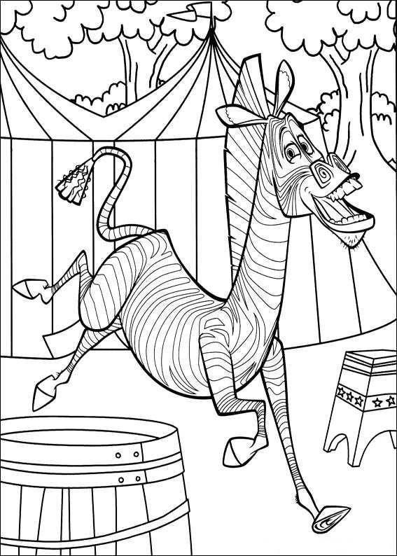 A Alegre Zebra de Madagascar no Circo