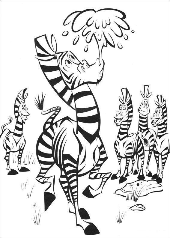 As Zebras Divertidas de Madagascar